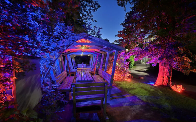 Biergarten unterm Ginkgobaum beleuchtet